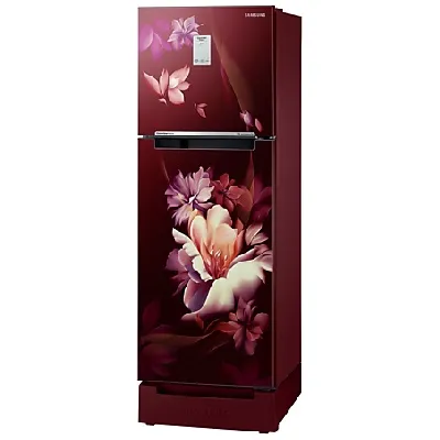 RT28C3C32RZ 224 L Curd Maestro™ Double Door Refrigerator