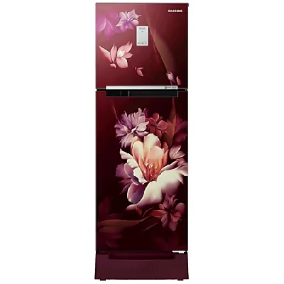 RT28C3C32RZ 224 L Curd Maestro™ Double Door Refrigerator