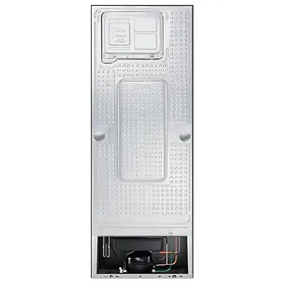 RT34C4622BX 291 L Curd Maestro™ Double Door Refrigerator