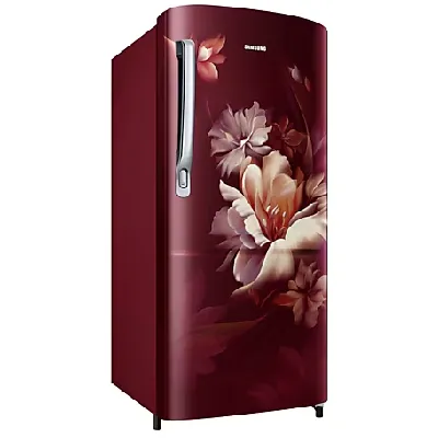 RR20D1723RZ 183 L Stylish Grandé Design Single Door Refrigerator