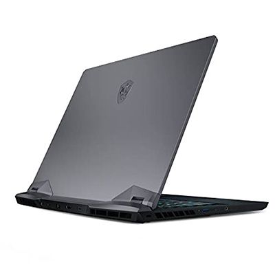 GE66 Raider 10SF-611IN Laptop (Core i7 10th Gen/32 GB/1 TB SSD/Windows 10/8 GB)