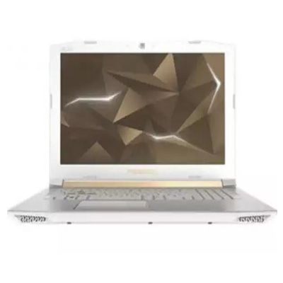 Predator Helios 300 PH315-51-757A (NH.Q4HAA.001) Laptop (Core i7 8th Gen/16 GB/256 GB SSD/Windows 10/6 GB)