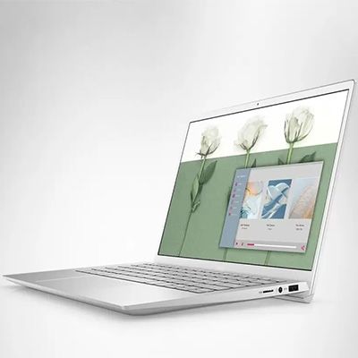 Inspiron 13 5300 (D560214WIN9S) Laptop (Core i5 10th Gen/8 GB/512 GB SSD/Windows 10)