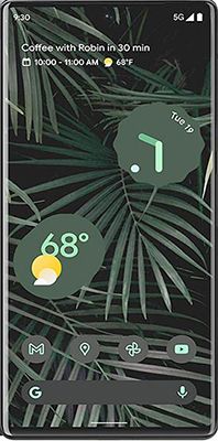 Pixel 6 Pro