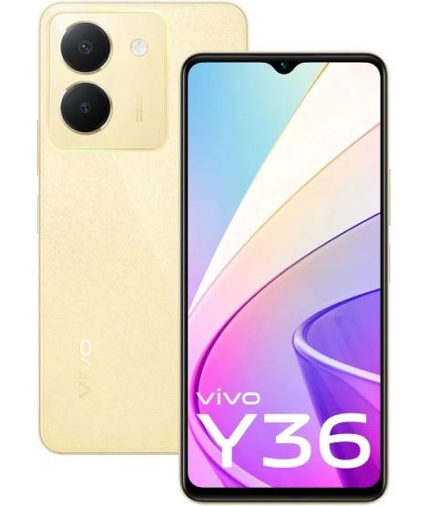 Y36