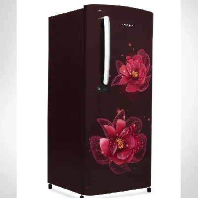 RDC220C / S0PFE0M0000GD 185 L 3 Star Single Door Refrigerator