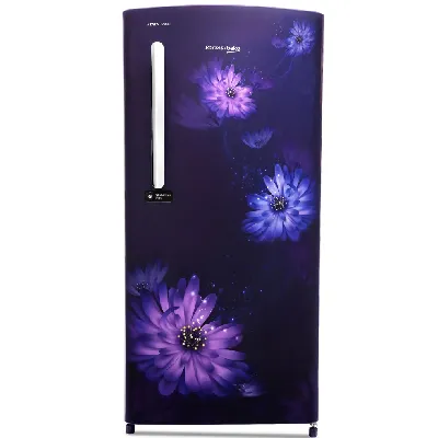 RDC220C / W0DBE0M000UGD 185 L 3 Star Single Door Refrigerator