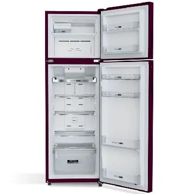21676 Intellifresh 259L 2 Star Frost Free Double-Door Refrigerator