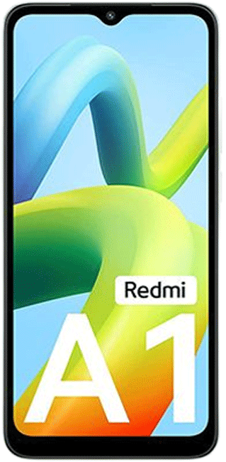 A1