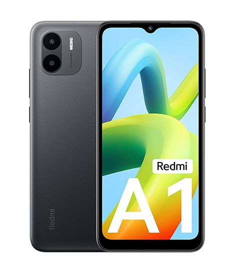 A1