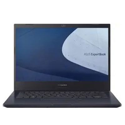 ExpertBook P2451FB-EK0092R Laptop (Core i5 10th Gen/8 GB/1 TB/Windows 10/2 GB)