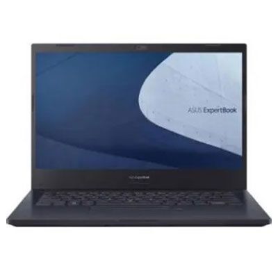 ExpertBook P2451FB-EK0093R Laptop (Core i5 10th Gen/8 GB/512 GB SSD/Windows 10/2 GB)