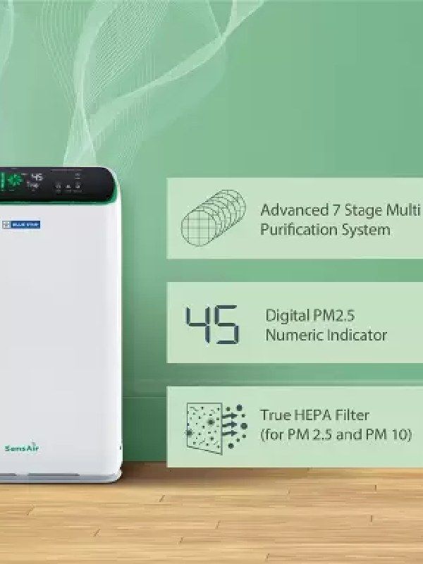 BS-AP490LAN