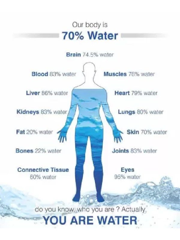 Aqua Neeo Coper