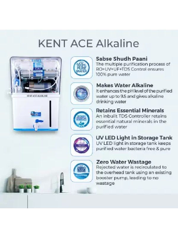 Ace Alkaline 116131
