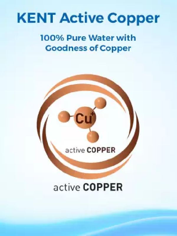 Elegant Copper