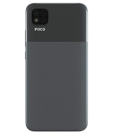 C31
