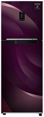 RT34T46324R 314 Ltr Double Door Refrigerator