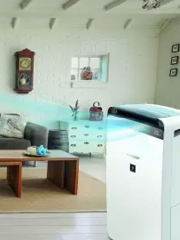 Air Purifier Dehumidifier DW J20FMW