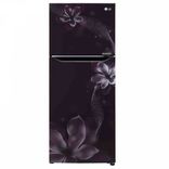 GL-N292DPOY 260 Ltr Double Door Refrigerator