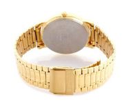 ND1013YM02C Analog Watch - For Men