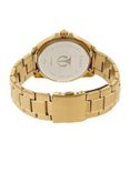 Men Gold-Toned & White Analogue Watch NK1717YM01