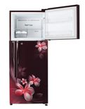 GL-T292RSPN 260 Ltr Double Door Refrigerator