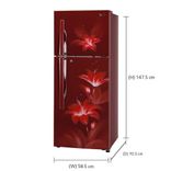 GL-C292RRGY 260 Ltr Double Door Refrigerator