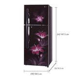 GL-T292RPGY 260 Ltr Double Door Refrigerator