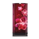RD EDGEPRO 205D 43 TAI 190 Ltr Single Door Refrigerator