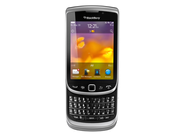 Torch 9810