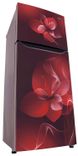 GL-N292DSDY 260 Ltr Double Door Refrigerator