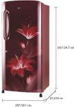 GL-B221ARGY 215 Ltr Single Door Refrigerator