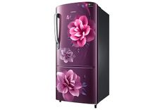 RR20R172ZCR 190 Ltr Single Door Refrigerator