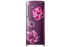 RR20R172ZCR 190 Ltr Single Door Refrigerator