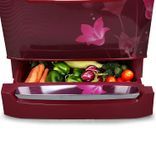 RD Edge Duo 220 TDF 3.2 205 Ltr Single Door Refrigerator
