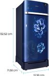 RR21T2H2WCU 198 Ltr Single Door Refrigerator