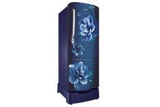 RR24R285ZCU 230 Ltr Single Door Refrigerator