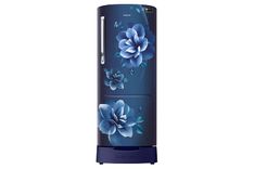 RR24R285ZCU 230 Ltr Single Door Refrigerator