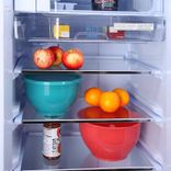 RD Edge Duo 220 TDF 3.2 205 Ltr Single Door Refrigerator