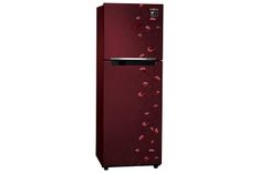 RT28M3022RZ 253 Ltr Double Door Refrigerator