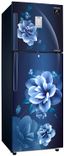 RT28T3953CU 253 Ltr Double Door Refrigerator