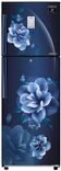 RT28T3953CU 253 Ltr Double Door Refrigerator