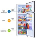 NR-BG313PBK3 307 Ltr Double Door Refrigerator