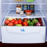 RD Edge 205 WRF 2.2 190 Ltr Single Door Refrigerator