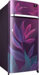 RR21T2G2X9R 198 Ltr Single Door Refrigerator