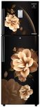 RT28T3932CB 253 Ltr Double Door Refrigerator