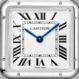 WSPN0011 Panthere De Cartier