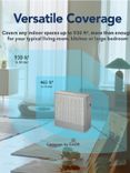 AirMega 250 Professional Air Purifier - (AP-1720H)