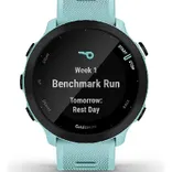 Forerunner 55 Smartwatch